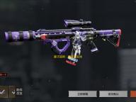 量子回响：超维共生体